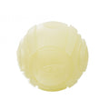 NERF Dog Blaster LED Glow Sonic Ball