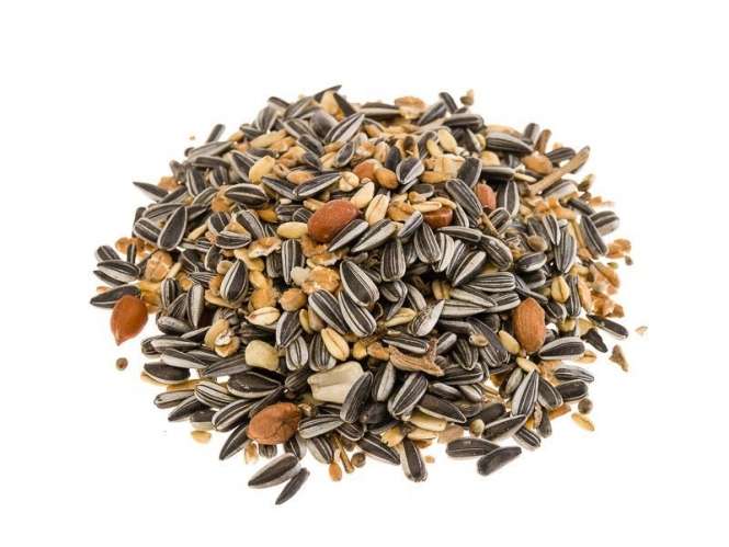Classic Bird Meisenmix - 25 kg