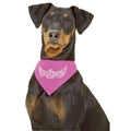 Karlie Flamingo Halstuch Krone mit Strass - Pink - 50 - 65 cm